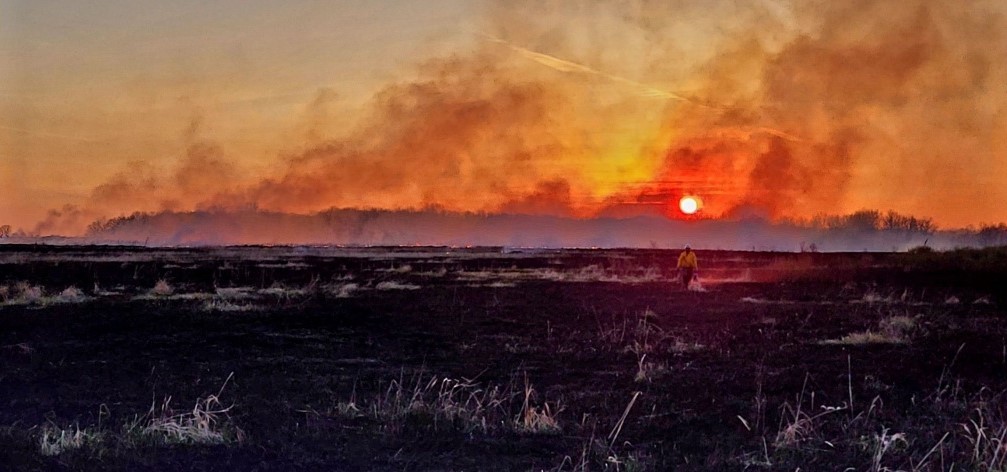 Prescribed burn in Wisconsin wildlife area.