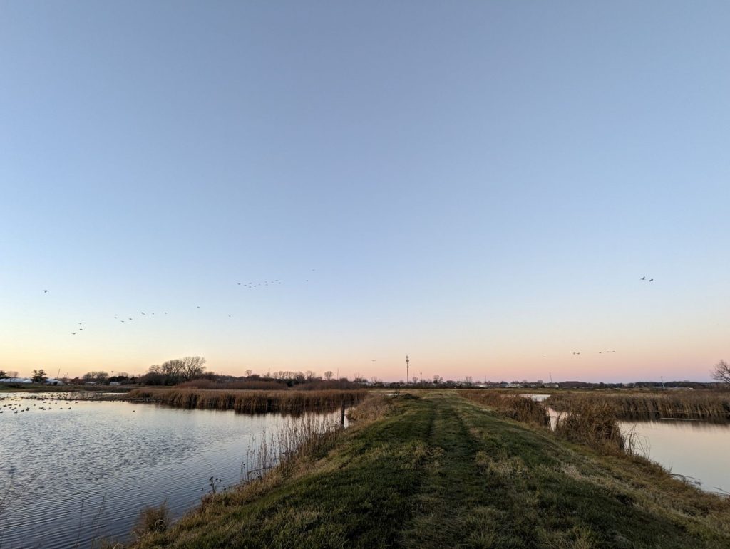 Old water treatment lagoon ponds that have been restored and are now a wetland wildlife area near Madison, Wisconsin. Photo taken by Rebecca Hilllman, Merjent Water Resources Engineer and Fluvial Geomorphologist with Merjent.