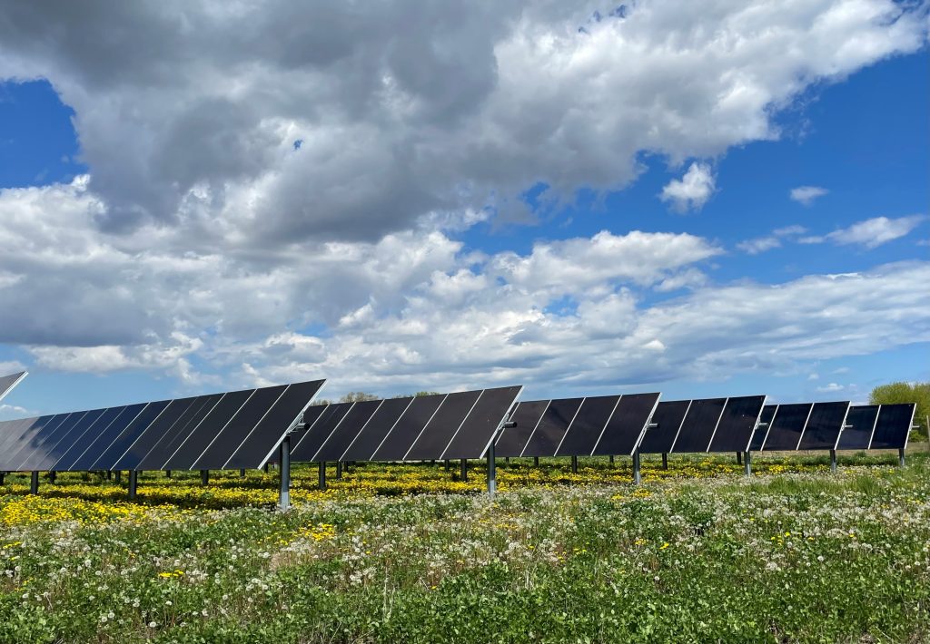 Image of solar farm and vegetation taking during post construction monitoring in Wisconsin, taken by water resources engineer, EIT, Rebecca Hillman.