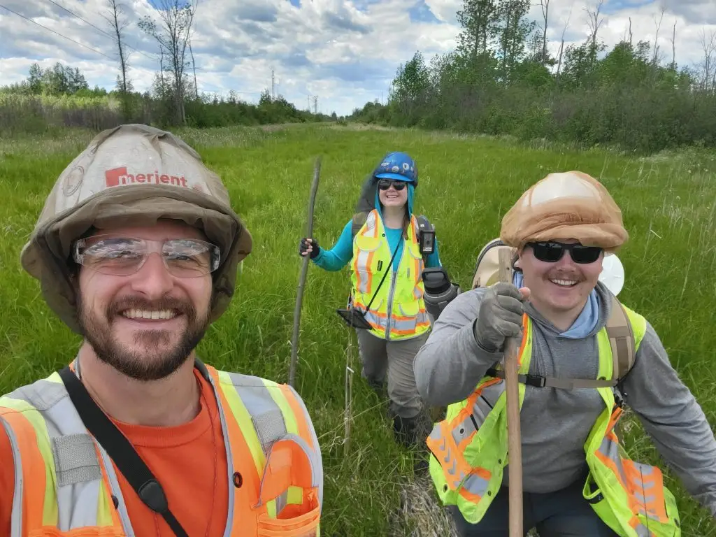 Post construction vegetation monitoring in northern Minnesota. Kyle Lichtenberg, Kallie Koon, and Caden Pearson, marching through a sedge meadow wetland on a pipeline right of way surrounded by alder thicket and bogs, wearing PPE including hard hats, reflective vests, mosquito nets, and safety glasses. Collecting data, documenting vegetation, and identifying wetland plants, on Fulcrum using iPads with GPS units. Photo taken by Kyle Lichtenberg Merjent biologist.